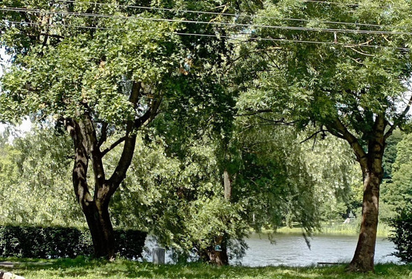 Продам трехкомнатную (3-комн.) квартиру, Аллея смелых ул, 3, Калининград г