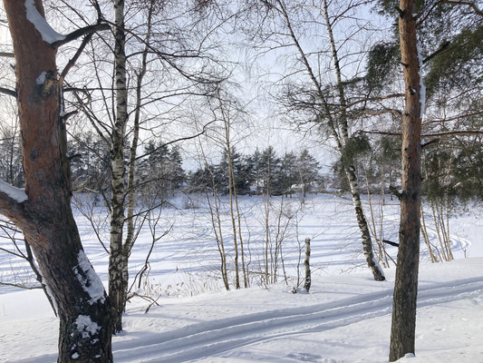 Продам дачу, Кузяево д, 0 км от города