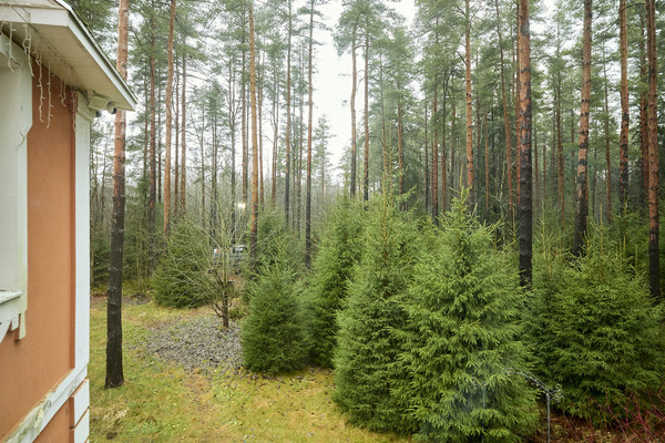 Продам дом, Ромашка снт тер, 719, Сады массив, 0 км от города