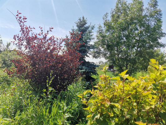 Продам участок 6 соток, ИЖС, Глинки ул, Иркутск г, 0 км от города