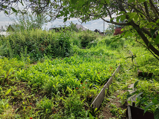 Продам участок 6 соток, ИЖС, Глинки ул, Иркутск г, 0 км от города