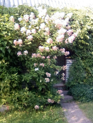 Продам участок 6,18 соток, Фермерское хоз., 13-я линия ул, Пески тер. СНТ, 0 км от города