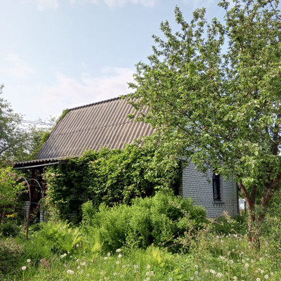 Продам дом, 13-я линия ул, Пески тер. СНТ, 0 км от города