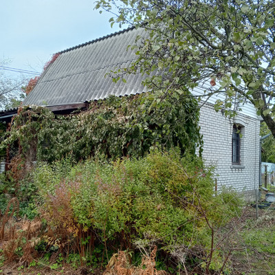 Продам дом, 13-я линия ул, Пески тер. СНТ, 0 км от города