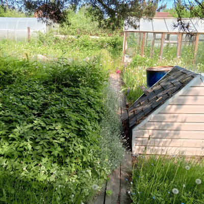 Продам дом, 13-я линия ул, Пески тер. СНТ, 0 км от города