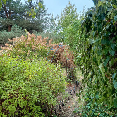 Продам дом, 13-я линия ул, Пески тер. СНТ, 0 км от города