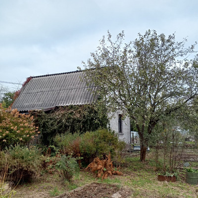 Продам дом, 13-я линия ул, Пески тер. СНТ, 0 км от города