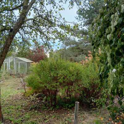 Продам дом, 13-я линия ул, Пески тер. СНТ, 0 км от города