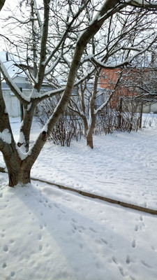 Продам двухкомнатную (2-комн.) квартиру, Совхозная ул, 4а, Симферополь г