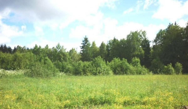 Продам участок 12 соток, Фермерское хоз., Таврическая ул, Урожайное с, 0 км от города