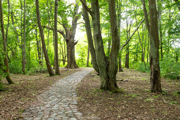 Продам однокомнатную (1-комн.) , Осенняя ул, 2к18, Ласкино п