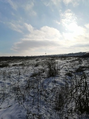 Продам участок 16 соток, ИЖС, Вольное с, 0 км от города