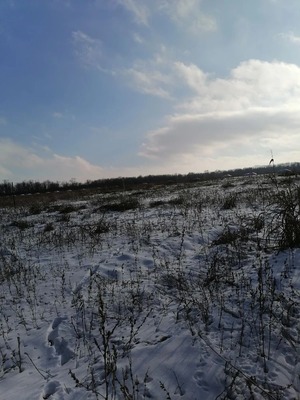 Продам участок 16 соток, ИЖС, Вольное с, 0 км от города