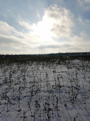 Продам участок 16 соток, ИЖС, Вольное с, 0 км от города