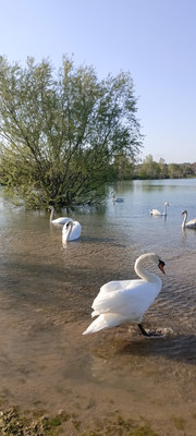 Продам дом, Крымская ул, Кольчугино с, 0 км от города