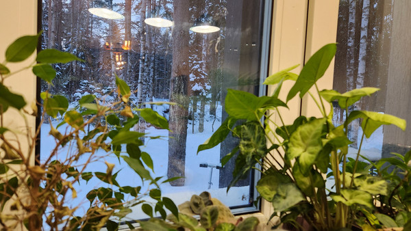 Продам коттедж, Бор д, 0 км от города