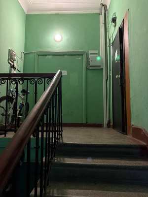 Продам комнату в 20-комн. квартире, Среднеохтинский пр-кт, 33/15, Санкт-Петербург г