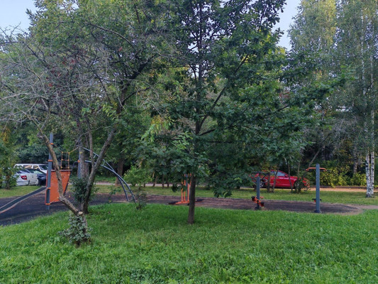 Продам двухкомнатную (2-комн.) квартиру, 12, Новоселье гп