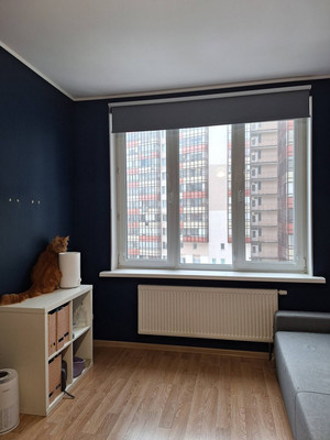 Продам двухкомнатную (2-комн.) квартиру, Европейский пр-кт, 5, Кудрово г