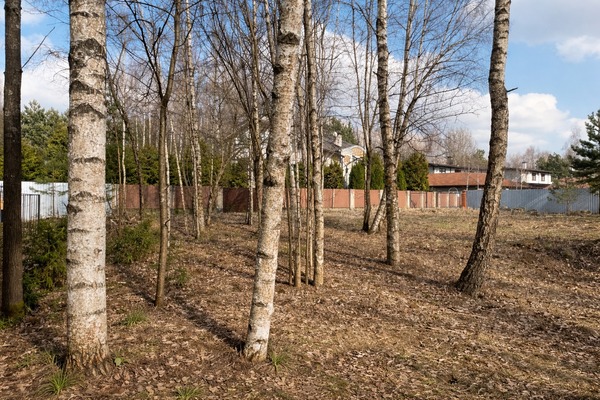 Продам участок 11,8 соток, ИЖС, Красновидово д, 0 км от города