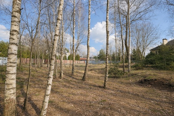 Продам участок 11,8 соток, ИЖС, Красновидово д, 0 км от города