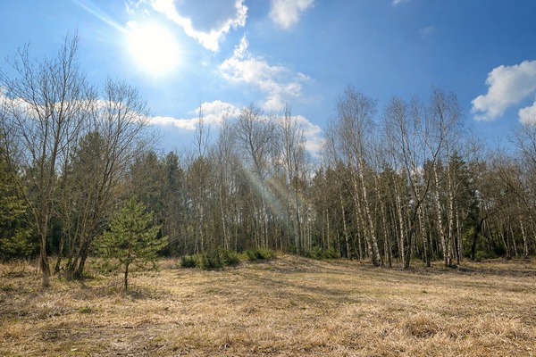 Продам участок 11,8 соток, ИЖС, Красновидово д, 0 км от города