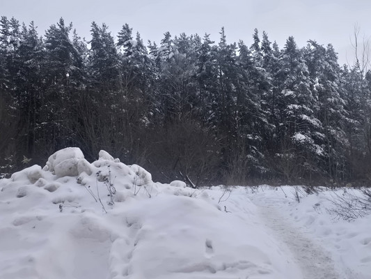 Продам двухкомнатную (2-комн.) квартиру, Объездная дорога ул, 2, Сосновый Бор п