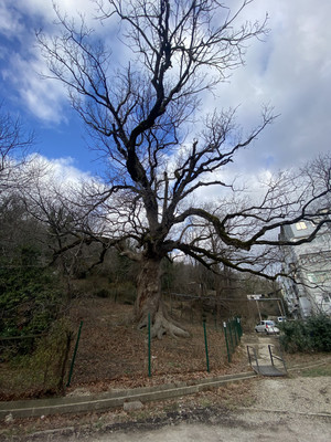 Продам трехкомнатную (3-комн.) квартиру, Горная ул, 1, Агой с