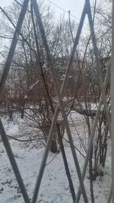 Продам однокомнатную (1-комн.) квартиру, Ахматовская ул, 15, Пушкин г