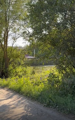 Продам участок 12 соток, ИЖС, Заречная ул, 3б, Пяша д, 0 км от города