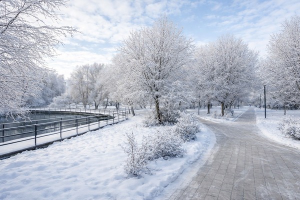 Продам двухкомнатную (2-комн.) квартиру, Соловьиная Роща ул, 9, Москва г