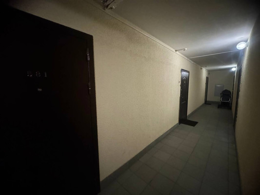 Продам однокомнатную (1-комн.) квартиру, Школьная ул, 11к1, Бугры п