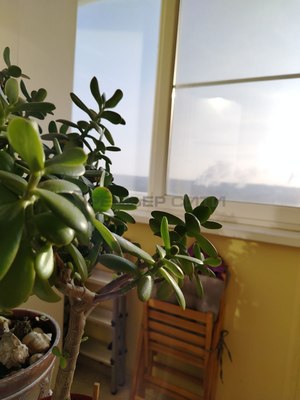 Продам однокомнатную (1-комн.) квартиру, Молодежная ул, 48, Калуга г