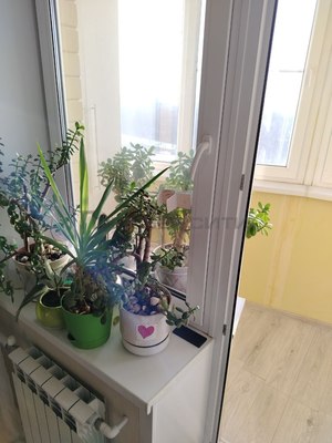 Продам однокомнатную (1-комн.) квартиру, Молодежная ул, 48, Калуга г