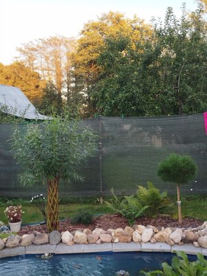 Продам дом, Звездочка тер. СНТ, Крутицы д, 10 км от города