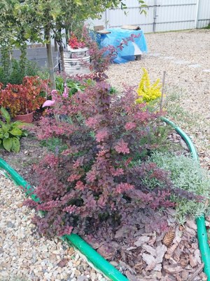 Продам дом, Звездочка тер. СНТ, Крутицы д, 10 км от города