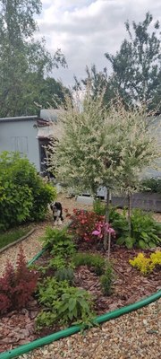 Продам дом, Звездочка тер. СНТ, Крутицы д, 10 км от города