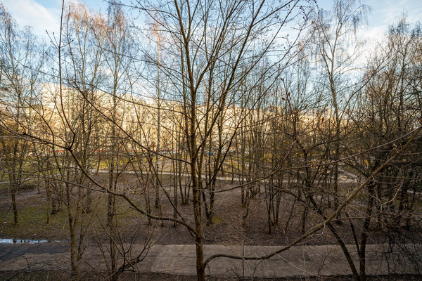 Сдам однокомнатную (1-комн.) квартиру, Профсоюзная ул, 136к3, Москва г