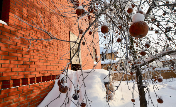 Продам дом, 24а, Кулаково д, 0 км от города