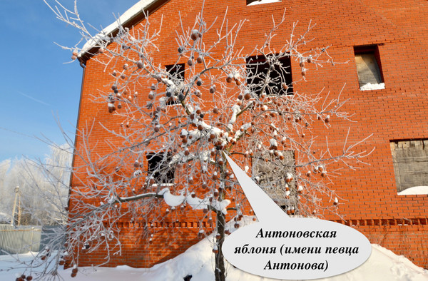 Продам дом, 24а, Кулаково д, 0 км от города