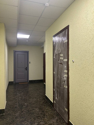 Продам однокомнатную (1-комн.) квартиру, Наличная ул, 26Ак6, Санкт-Петербург г