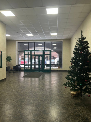 Продам однокомнатную (1-комн.) квартиру, Наличная ул, 26Ак6, Санкт-Петербург г