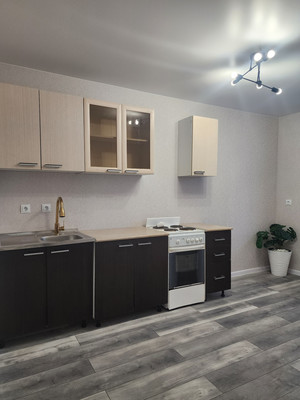 Продам однокомнатную (1-комн.) квартиру, Петропавловская ул, 13, Новоселье гп