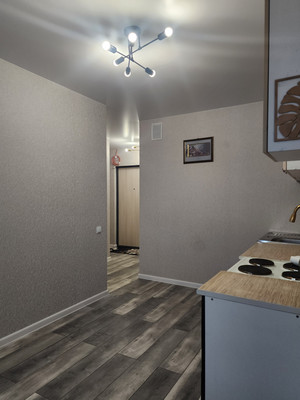 Продам однокомнатную (1-комн.) квартиру, Петропавловская ул, 13, Новоселье гп