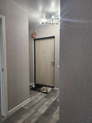 Продам однокомнатную (1-комн.) квартиру, Петропавловская ул, 13, Новоселье гп