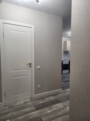 Продам однокомнатную (1-комн.) квартиру, Петропавловская ул, 13, Новоселье гп