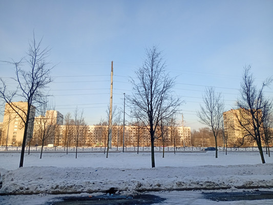 Продам двухкомнатную (2-комн.) квартиру, Маршала Блюхера пр-кт, 57Ак1, Санкт-Петербург г