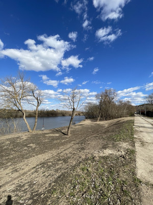 Продам участок 25,09 соток, ИЖС, Речная ул, Балково д, 0 км от города