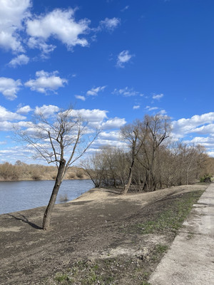 Продам участок 25,09 соток, ИЖС, Речная ул, Балково д, 0 км от города