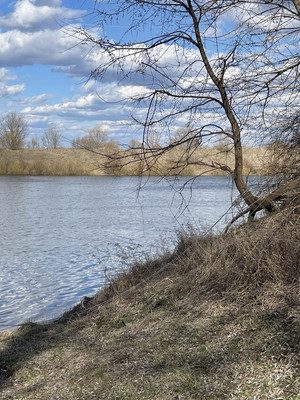 Продам участок 25,09 соток, ИЖС, Речная ул, Балково д, 0 км от города